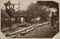 Voir l'image en grand