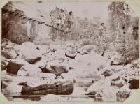 Voir l'image en grand