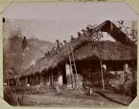 Voir l'image en grand