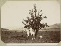 Voir l'image en grand