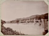 vignette