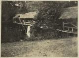 vignette