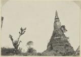 vignette